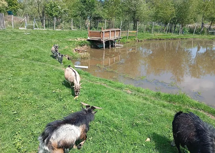 Location Du Samedi Au Samedi